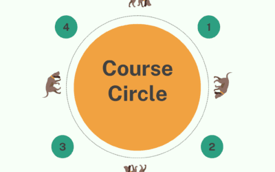Guide to Course Circles