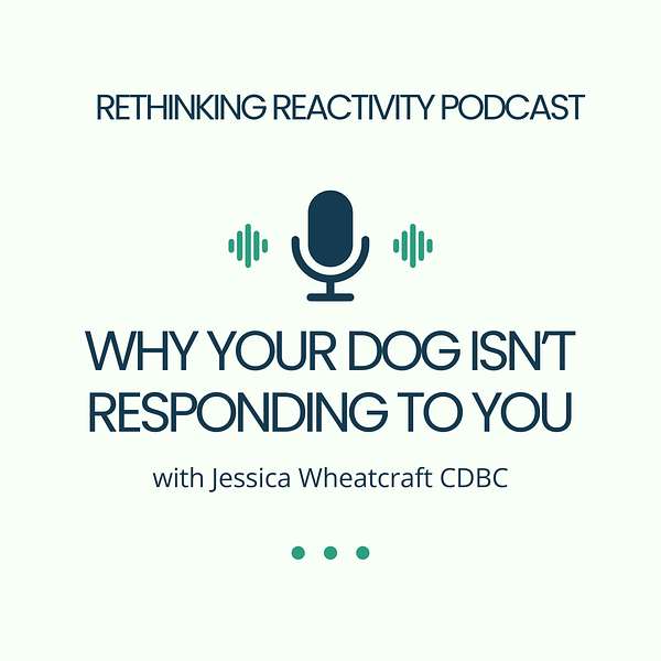 Why Your Dog Isn’t Responding to You with Jessica Wheatcraft